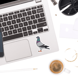 Pigeon Sticker - Moon Light Sticker Co.