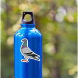 Pigeon Sticker