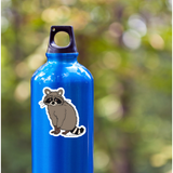 Raccoon Sticker