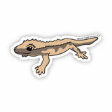 Crested Gecko Sticker - Moon Light Sticker Co.