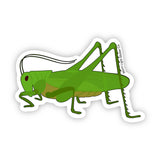 Grasshopper Sticker - Moon Light Sticker Co.