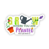 Grow Where You Are Planted Sticker - Moon Light Sticker Co.
