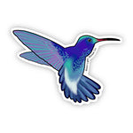 Hummingbird Sticker - Moon Light Sticker Co.