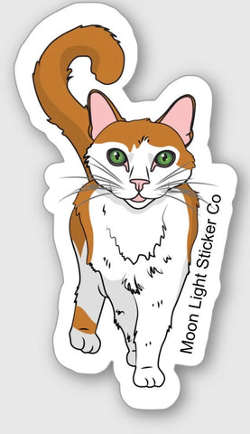 Orange Cat Sticker - Moon Light Sticker Co.