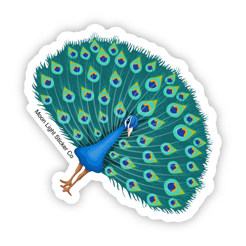 Peacock Sticker - Moon Light Sticker Co.