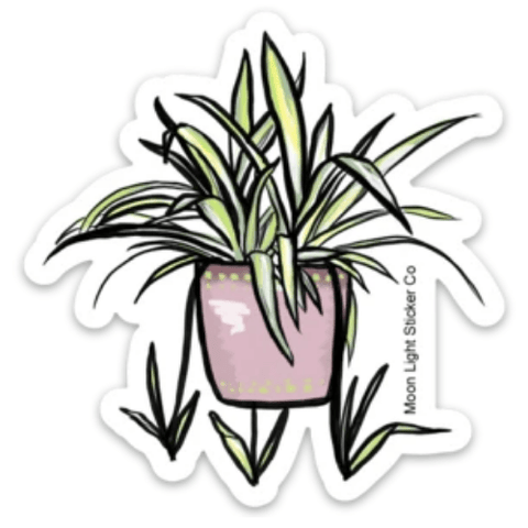Spider Plant Sticker - Moon Light Sticker Co.