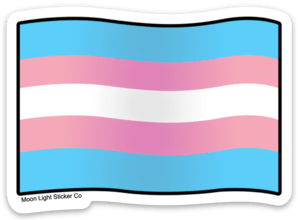 AGGKKY Transgender Pride Stickers, 124 PCS Transgender Pride Stuff Rainbow Stickers AGGKKY Transgender Pride Stickers, 124 PCS Transgender Pride Stuff Rainbow Stickers